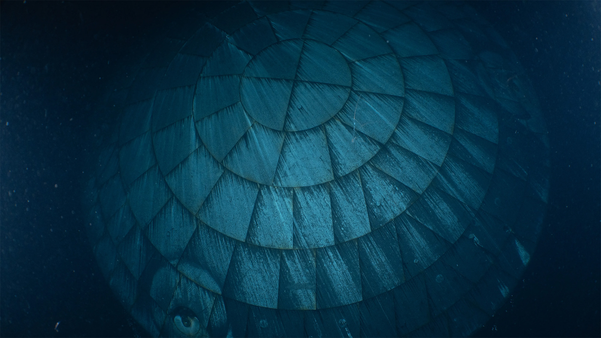 Underwater image of Artemis II heat shield 