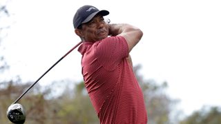 Tiger Woods takes a shot at the PNC Championship