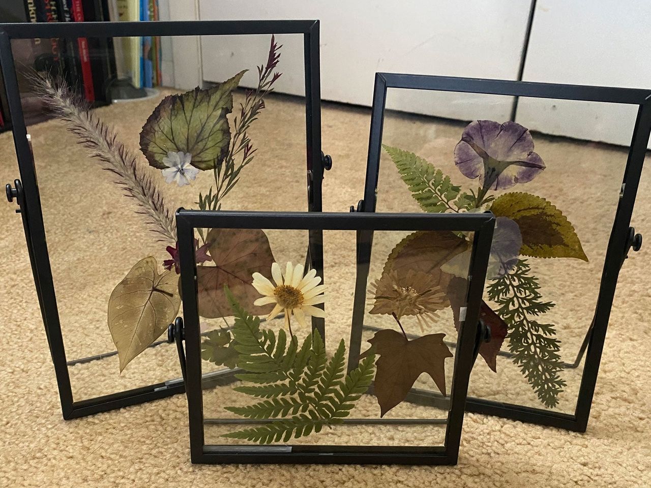 DIY Flower Press Tips In Glass Frames