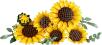 Sunflower Bouquet | View at Lego- Price: - Ages: - Pieces: - Minifigures: - Item number: Sunflower Bouquet | View at Lego- Price: - Ages: - Pieces: - Minifigures: - Item number: