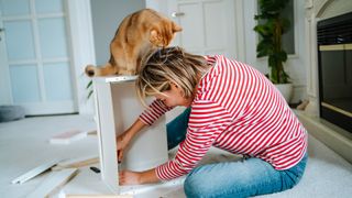 a woman builds furniture while an orange cat watches