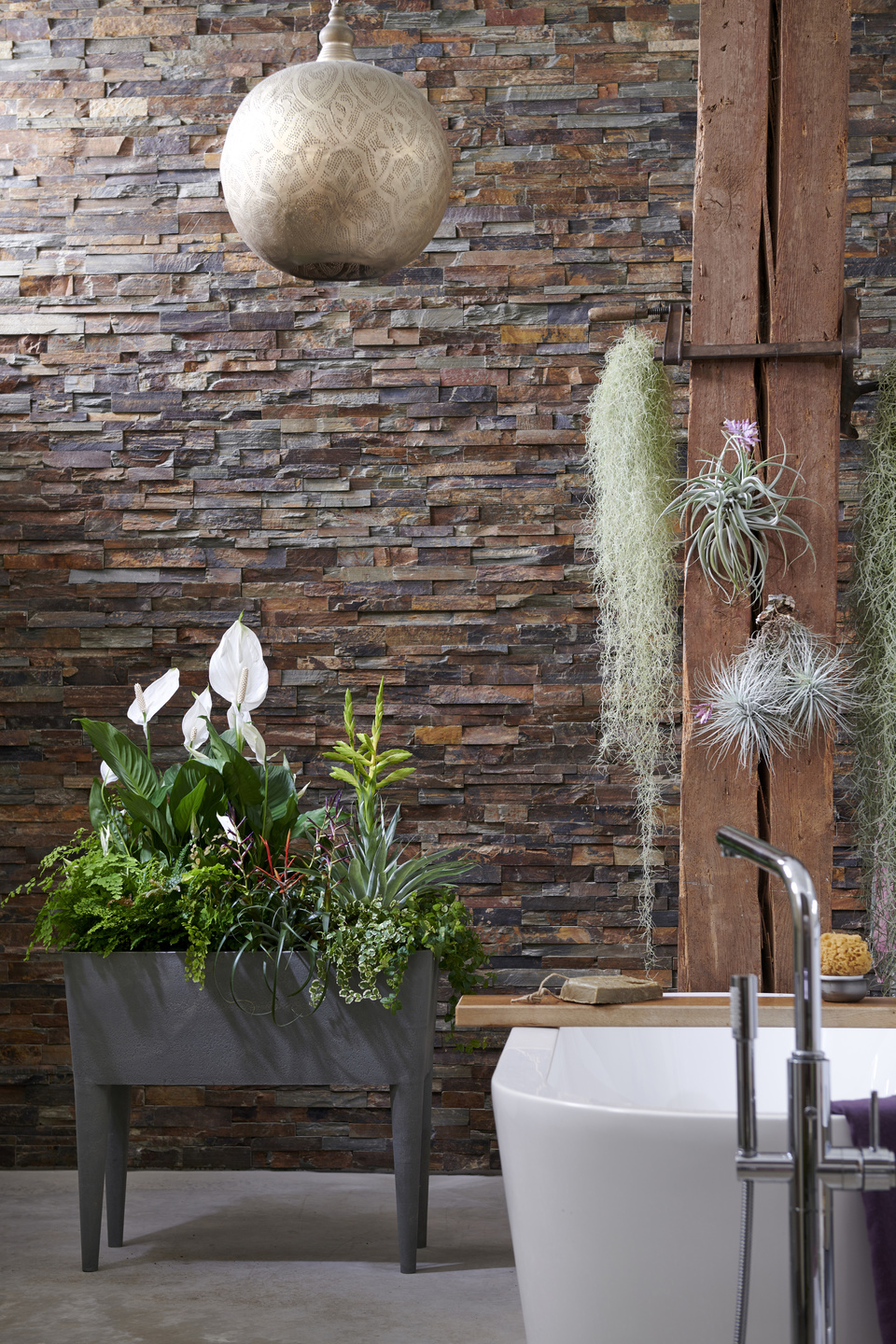 Peace Lilies in a box planter with other roots in a bathroom