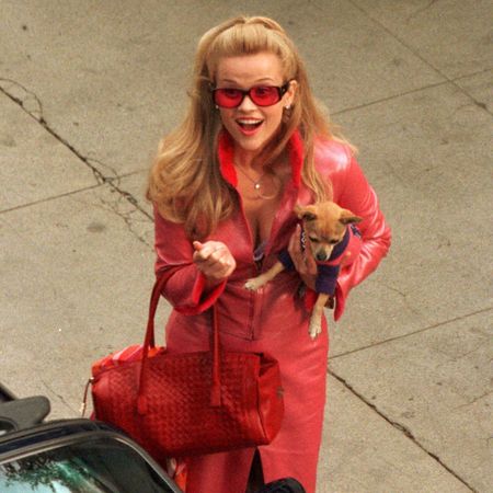 Reese Witherspoon in Legally Blonde