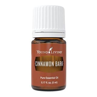 Young Living Cinnamon Bark Essential Oil 5 Ml in small amber glass bottle