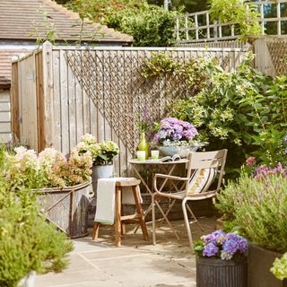 garden office with potted plants