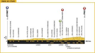 Stage 11 - Tour de France: Unstoppable Kittel wins again in Pau