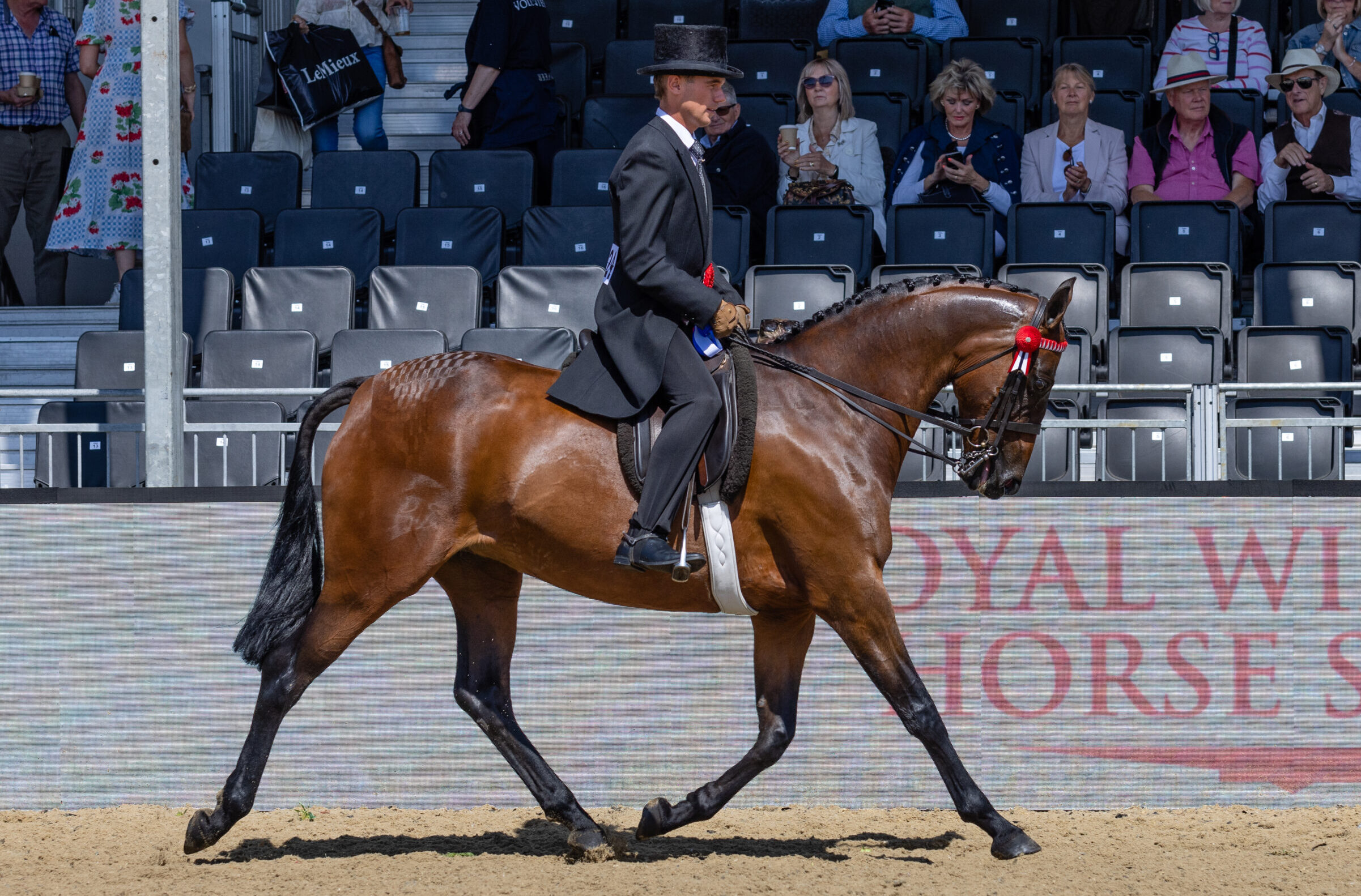 Harrison Taylor and Cranbornes Sirius, the 2025 reserve hack champions at Royal Windsor