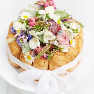 Rachel Khoo's Melon Charlotte with Crystallised Flowers recipe