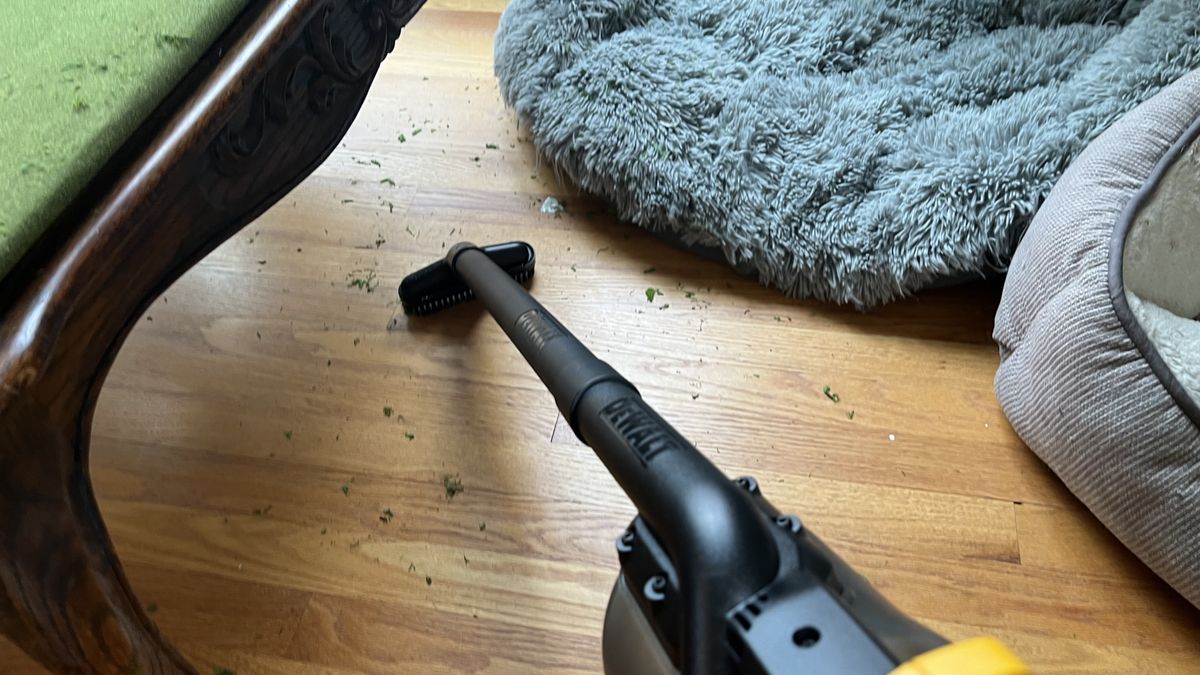 DeWalt 20V Cordless Dry Hand Vacuum