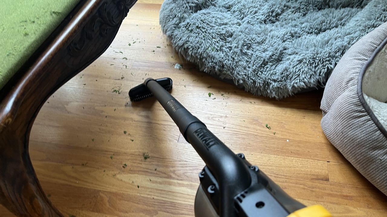 DeWalt 20V Cordless Dry Hand Vacuum