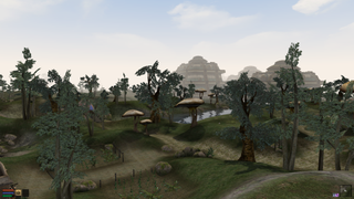 Morrowind's graphics extender mod