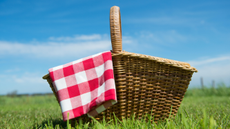 Picnic hamper on the grass 