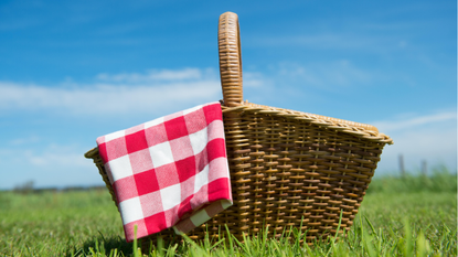 Picnic hamper on the grass 