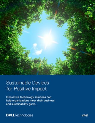 Whitepaper cover with top image of trees and blue screen from the ground looking up