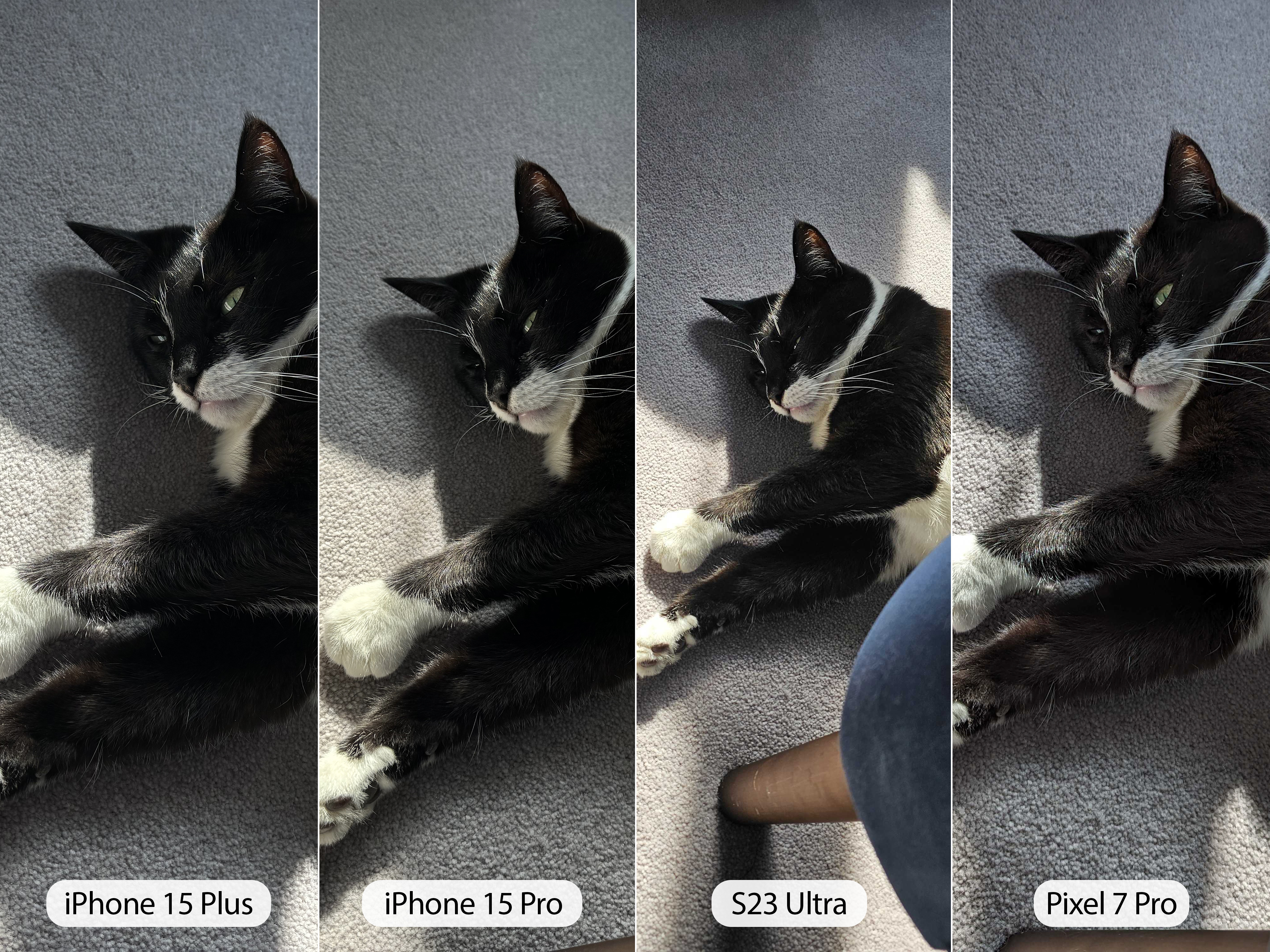 iPhone 15 Pro camera sample cat full comparison