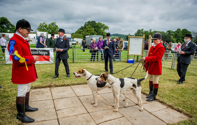 The Tiverton Staghounds win the doghound couples class with Rucksack &amp;amp; Rupert