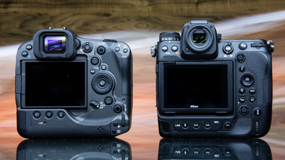 Canon EOS R3 vs Nikon Z9 | Digital Camera World