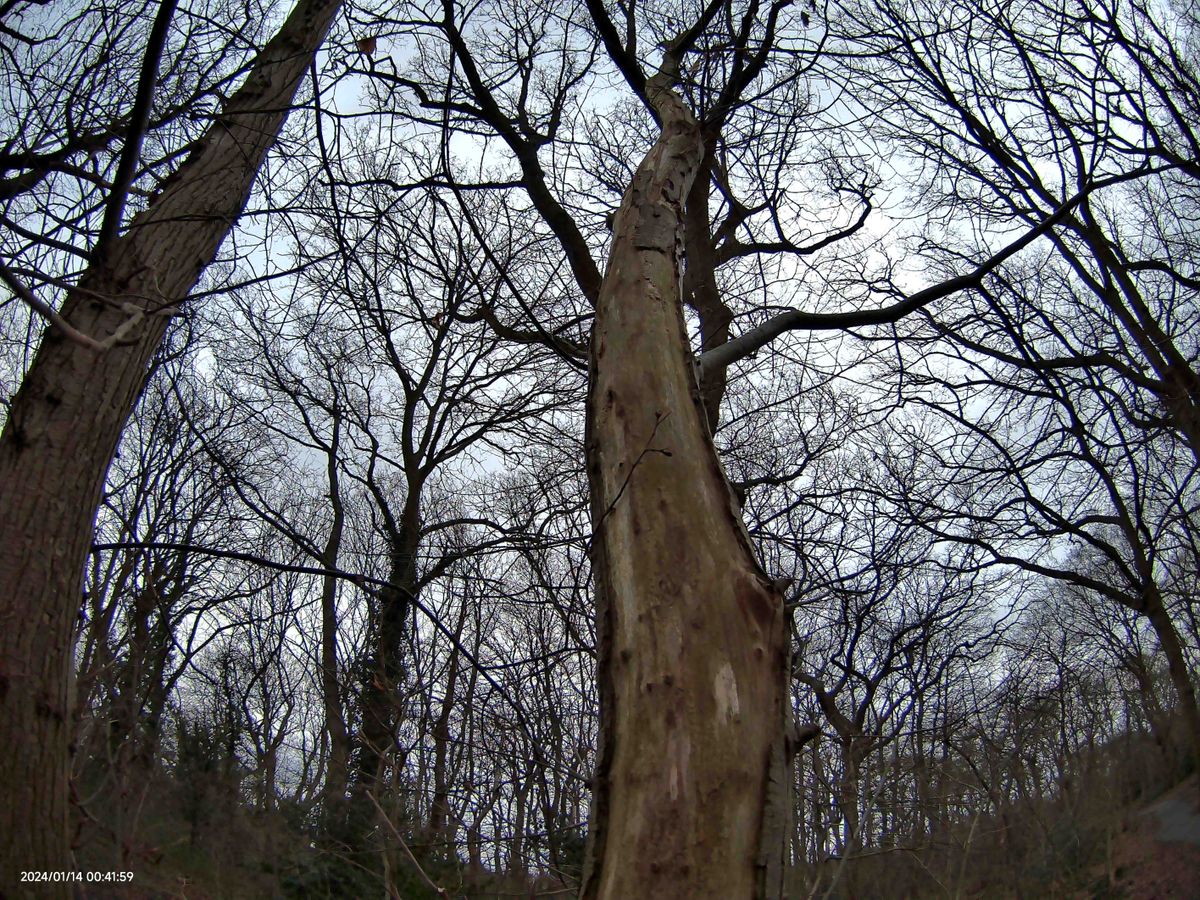 SJCAM C400 sample photo