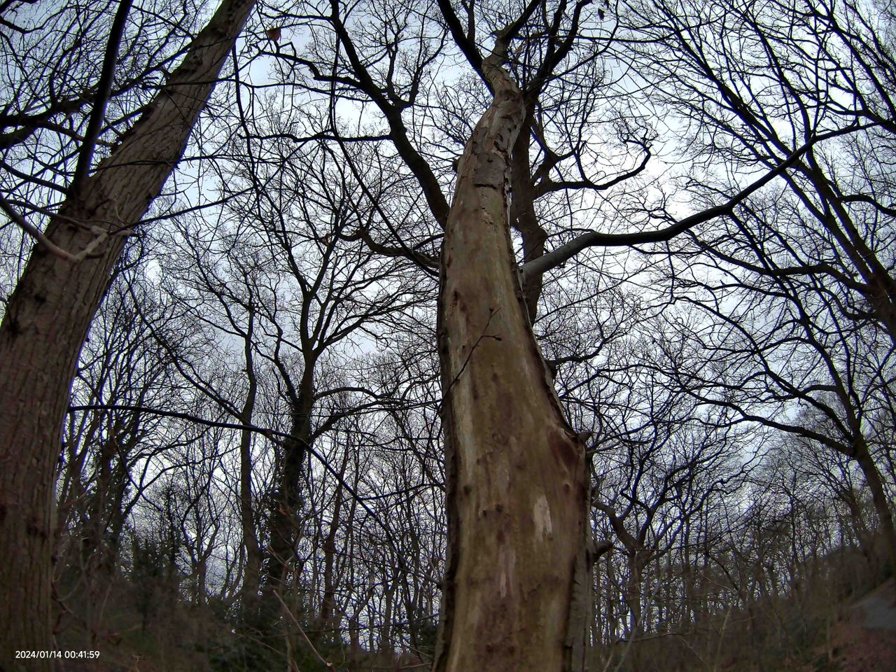 SJCAM C400 sample photo