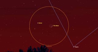 On July 15, 2018, Venus will shine near the crescent moon, with the bright star Regulus nearby, as shown in this sky map.