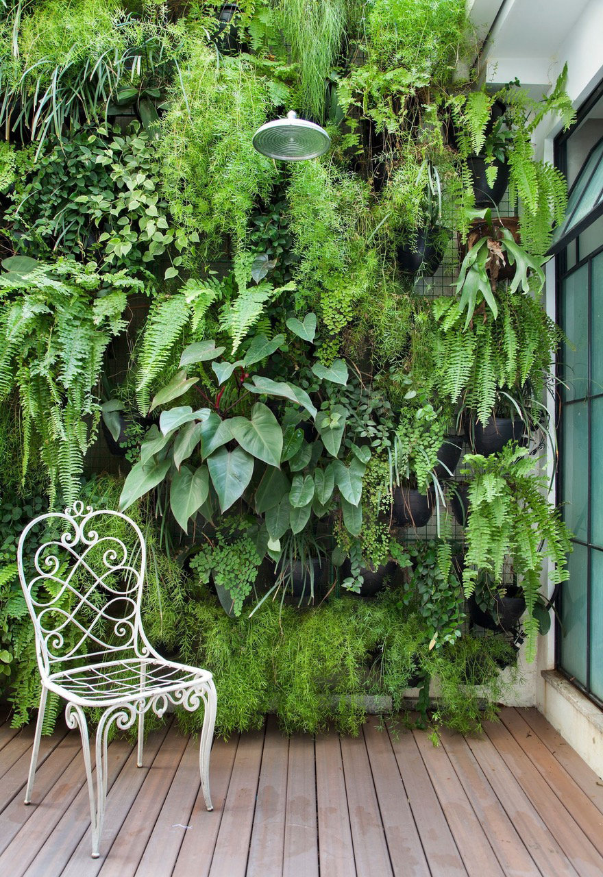 living wall in a small garden