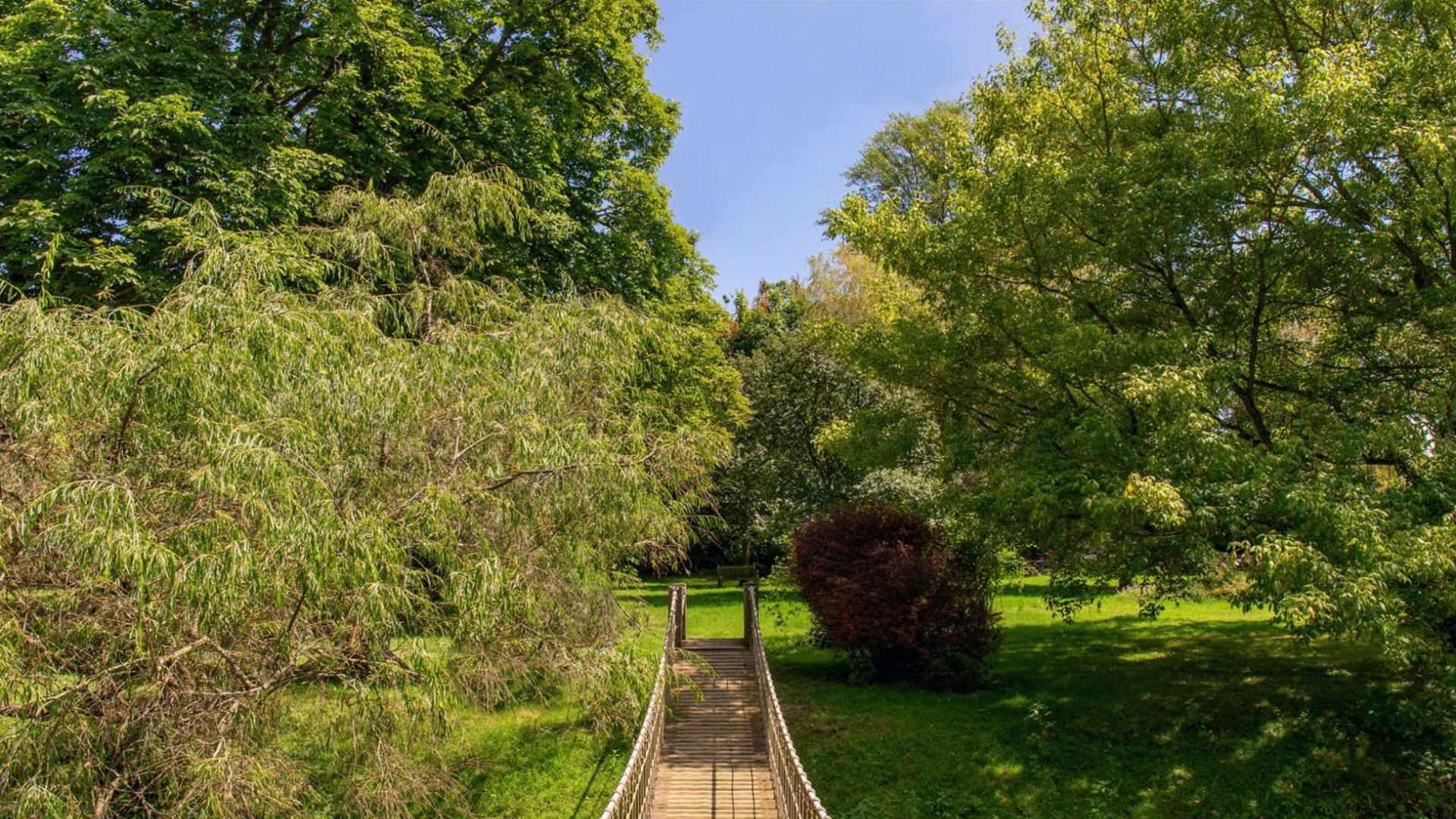 an image of part of the grounds which shows large, plush garden which is connected to another part by a wooden and rope bridge