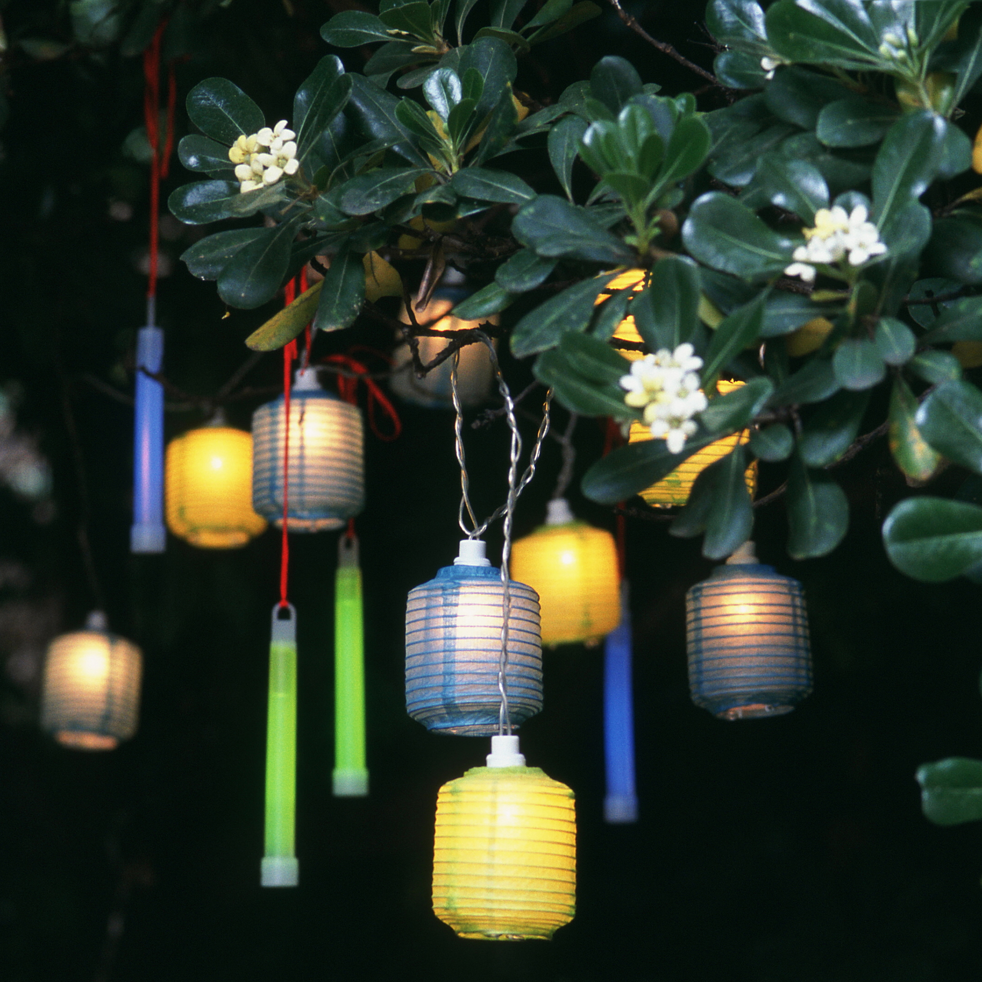 Outdoor tree light ideas – 10 ways to illuminate your garden