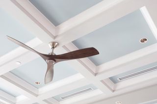 fan in conservatory from thomas sanderson