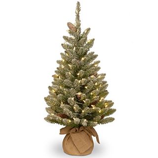 National Tree Company Pre-Lit Artificial Mini Christmas Tree | Includes Small White Led Lights and Cloth Bag Base | Snowy Concolor Fir Burlap - 3 Ft, Brown/green