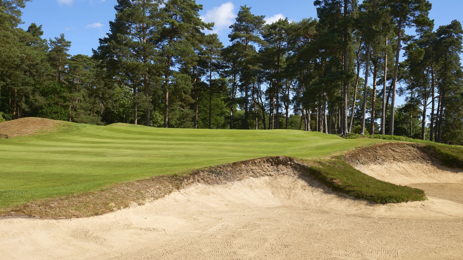 Swinley Forest Golf Club: Course Review, Green Fees, Tee Times and Key ...