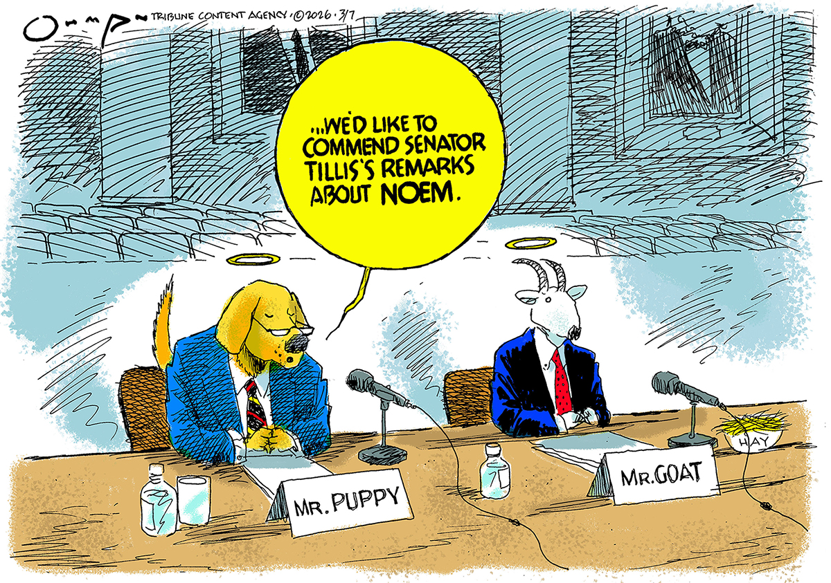 A dog in a suit suits behind a &amp;ldquo;Mr. Puppy&amp;rdquo; nameplate in a Senate hearing room. A goat named &amp;ldquo;Mr. Goat&amp;rdquo; is next to him, also in a suit. The dog says, &amp;ldquo;We&amp;rsquo;d like to commend Senator Tillis&amp;rsquo;s remarks about Noem.&amp;rdquo;