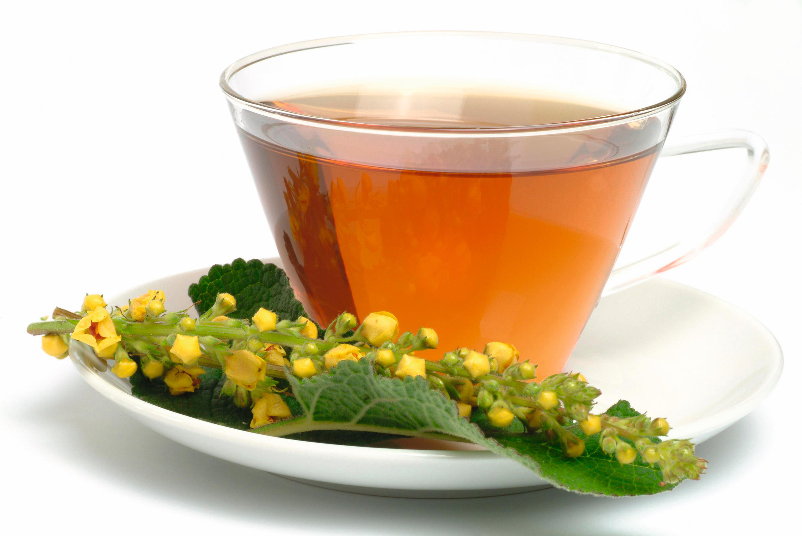 Uses of verbascum