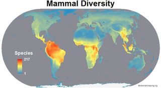 Mammal diversity globally