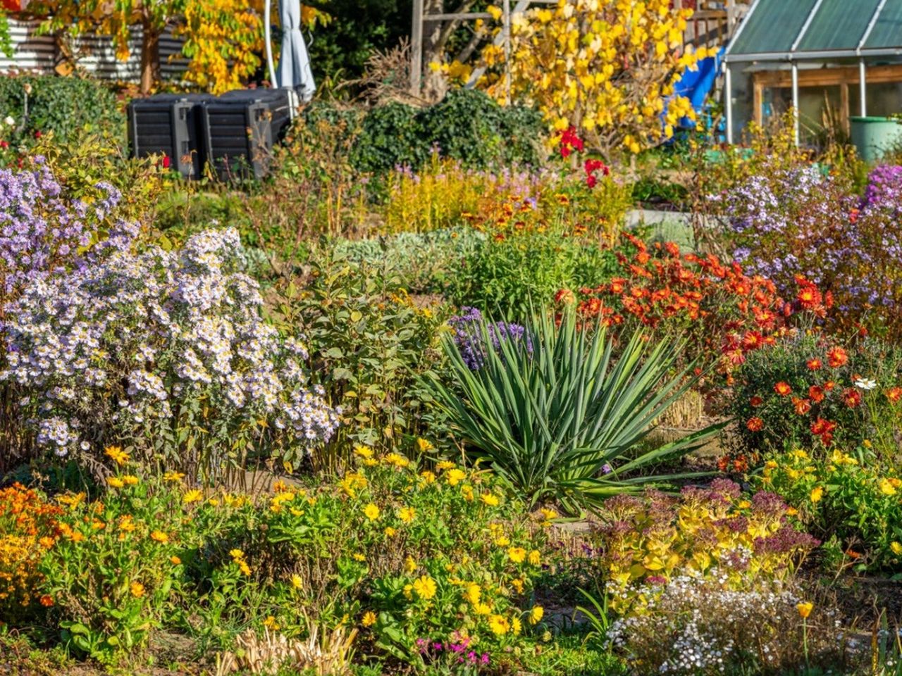 A colorful flower bed