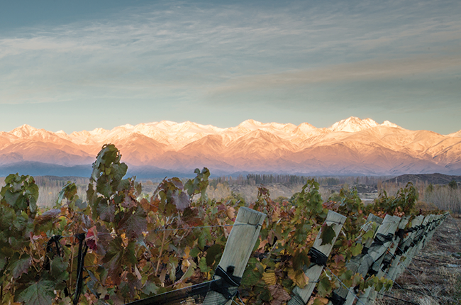 Gouguenheim sparkling