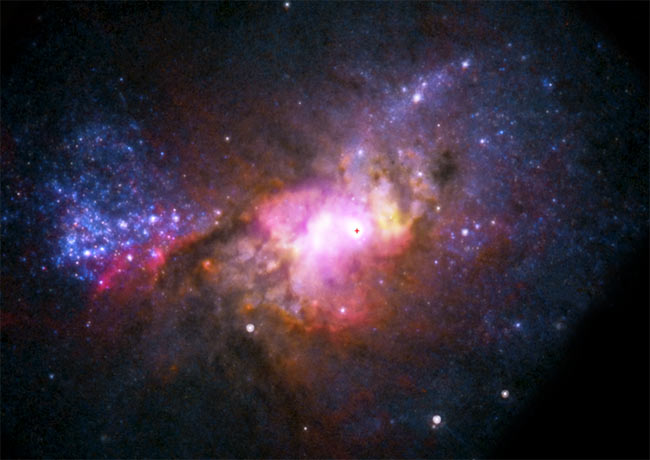 The dwarf galaxy Henize 2-10, with Hubble optical data colored red, green and blue, the VLA radio data shown in yellow and the Chandra X-ray data in purple. The location of the black hole is marked with a red cross. The black hole is detected as a region 