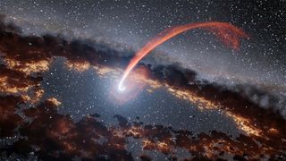 A black hole tearing apart a star in a tidal disruption event