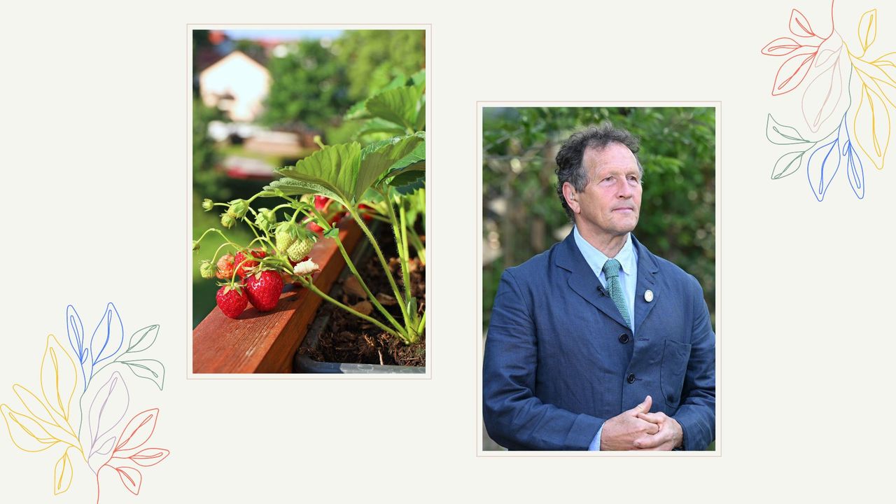 picture of monty don and a strawberry plant 