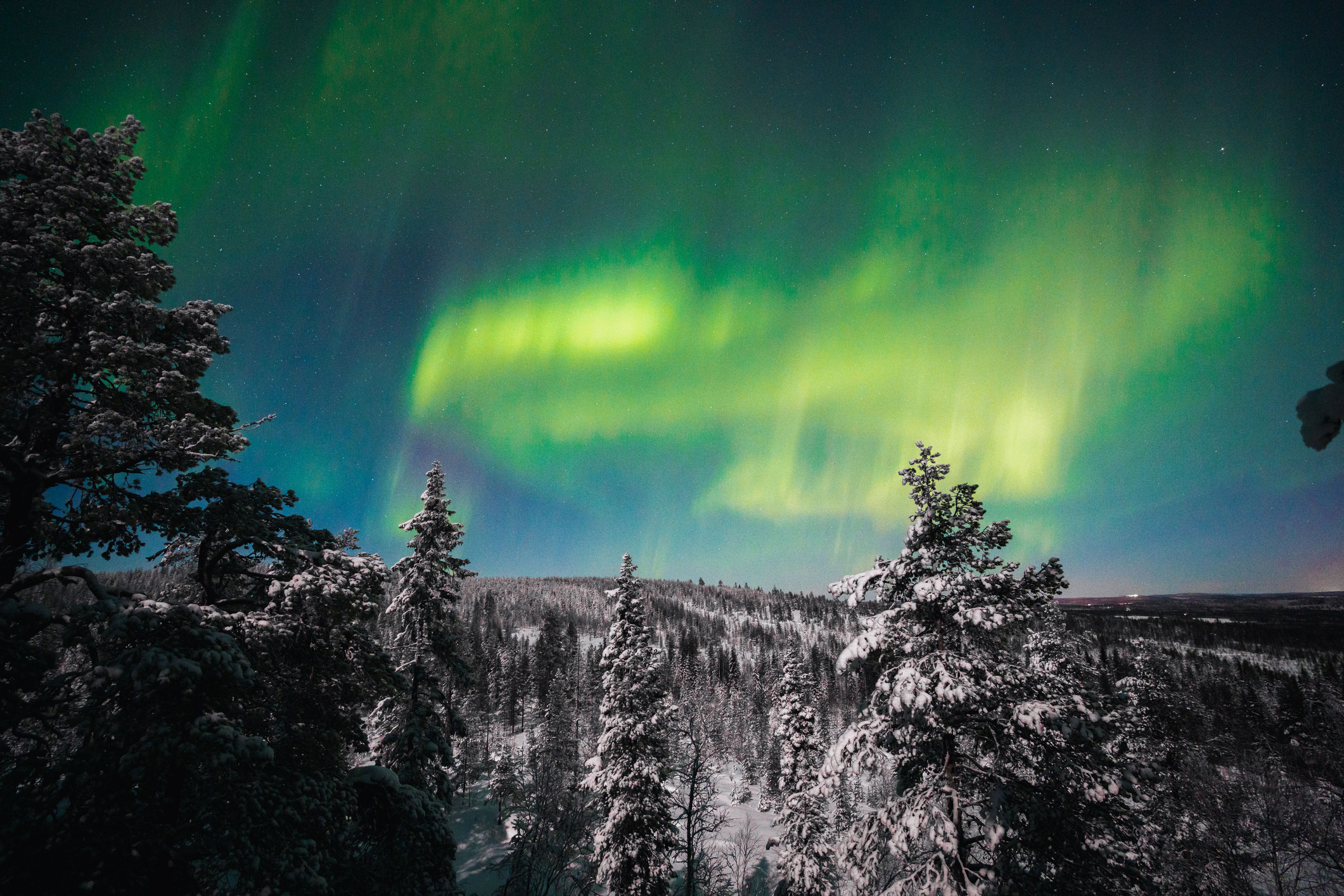 Green northern lights in Rovaniemi Finnish Lapland