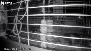 night vision: Ezviz C6N Indoor Wi-Fi home security camera