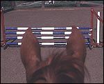 DAB086AF-7FD6-4CA8-ADF1-633834F3E117.jpg