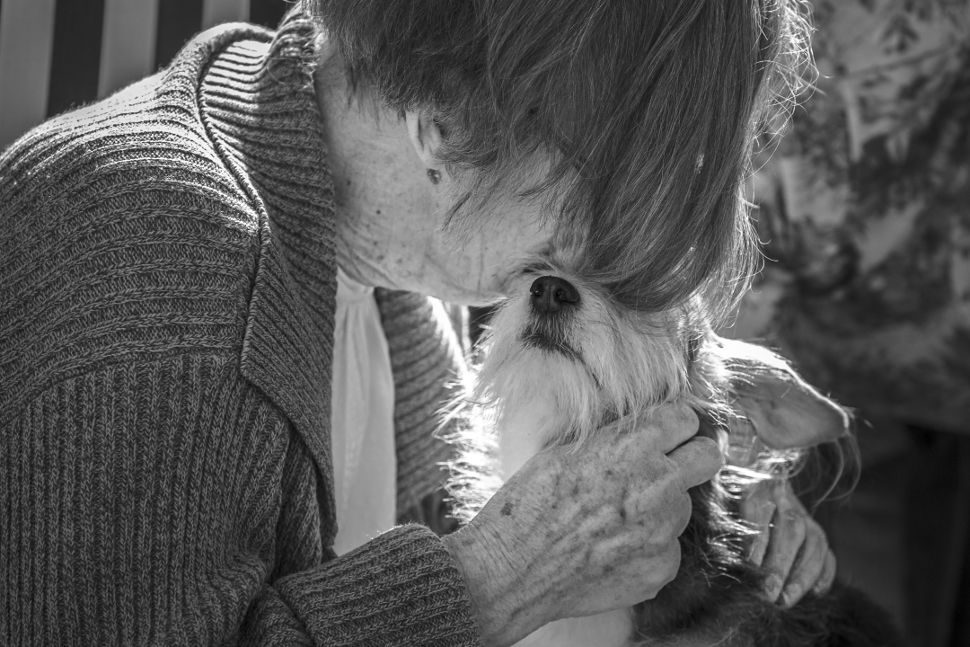 'Assistance Dogs and Dog Charities' category winner: Angelika Elendt, Germany
