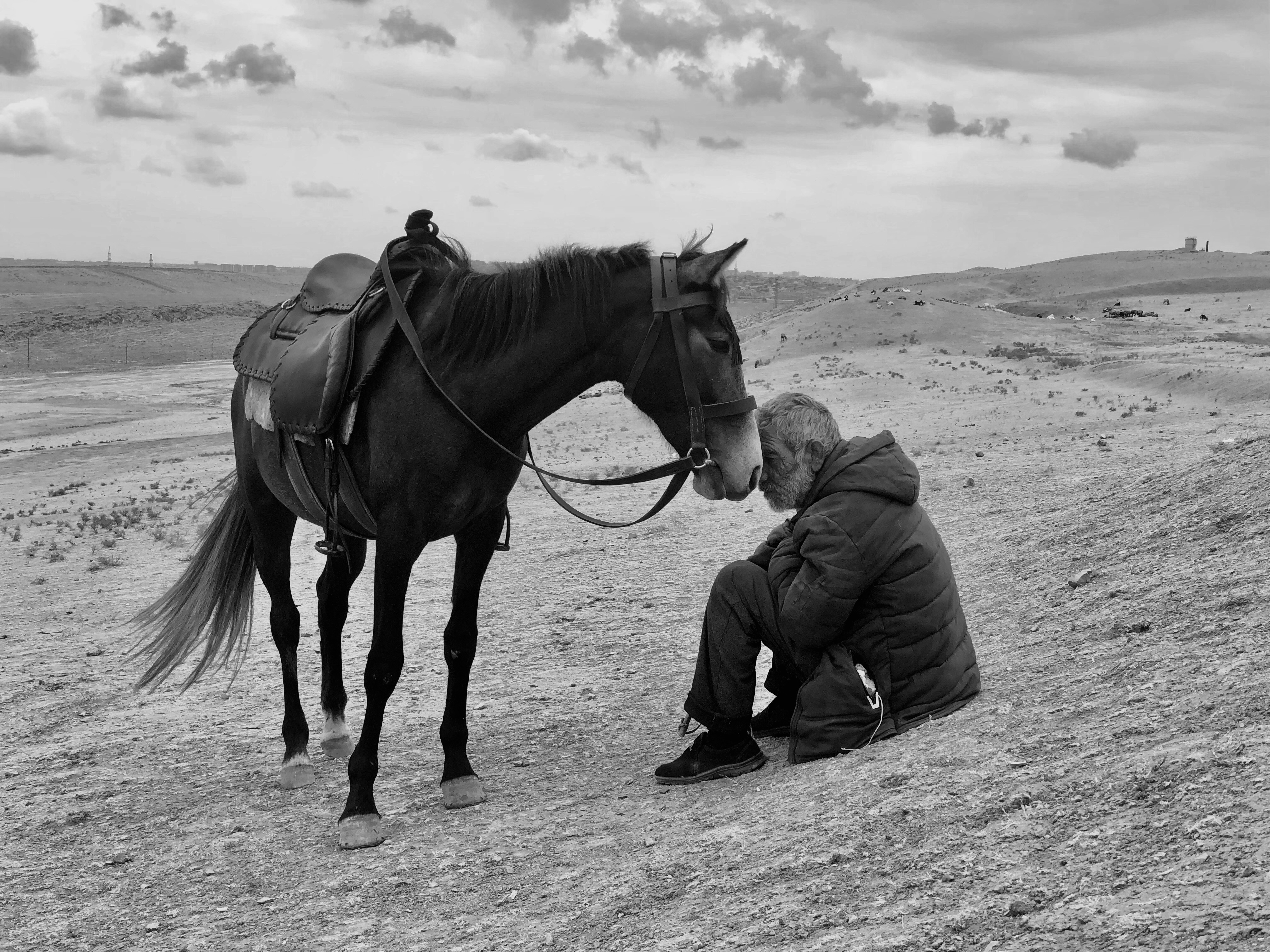 Bonding entry showing horse and man, for iPhone Photography Awards 2021