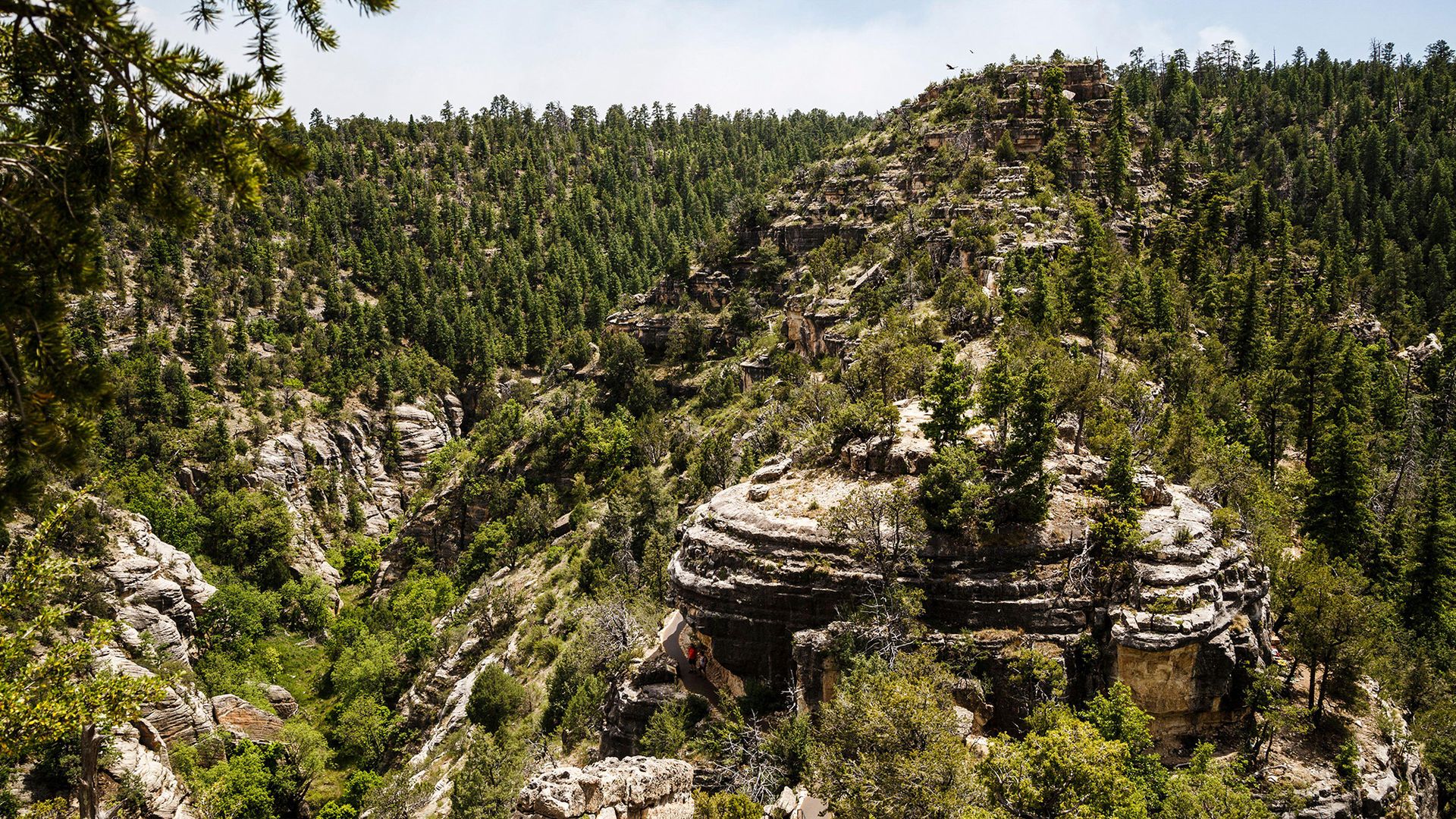 A series of pine covered hills.