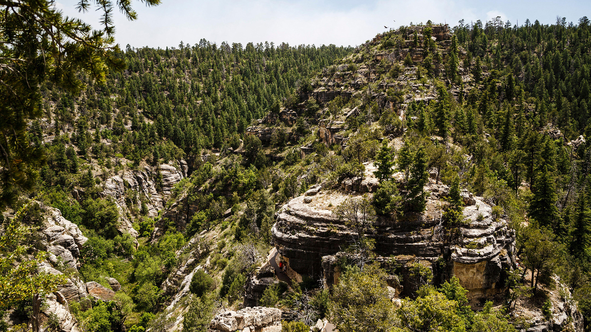 A series of pine covered hills.