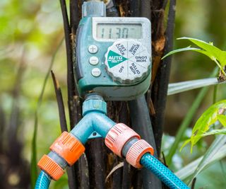 A timer attached to two hoses