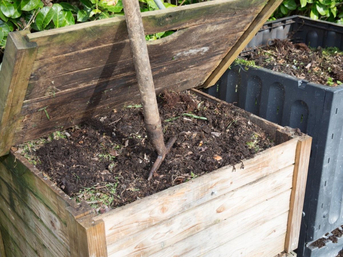 Compost Bactera Compost Bacteria - Learn More About What Type Of Bacteria Is In Compost ...