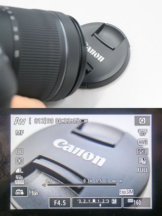 The Canon RF 24-105mm f/3.5-5.6 IS STM appears to have incredible close focusing!