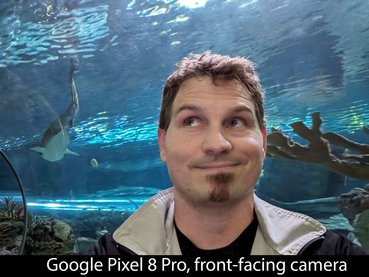 Camera samples from the Google Pixel 8 Pro's front-facing camera