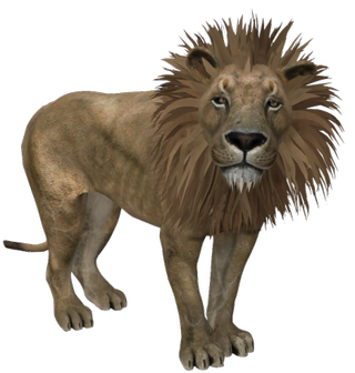 Lion Google Search 3D model